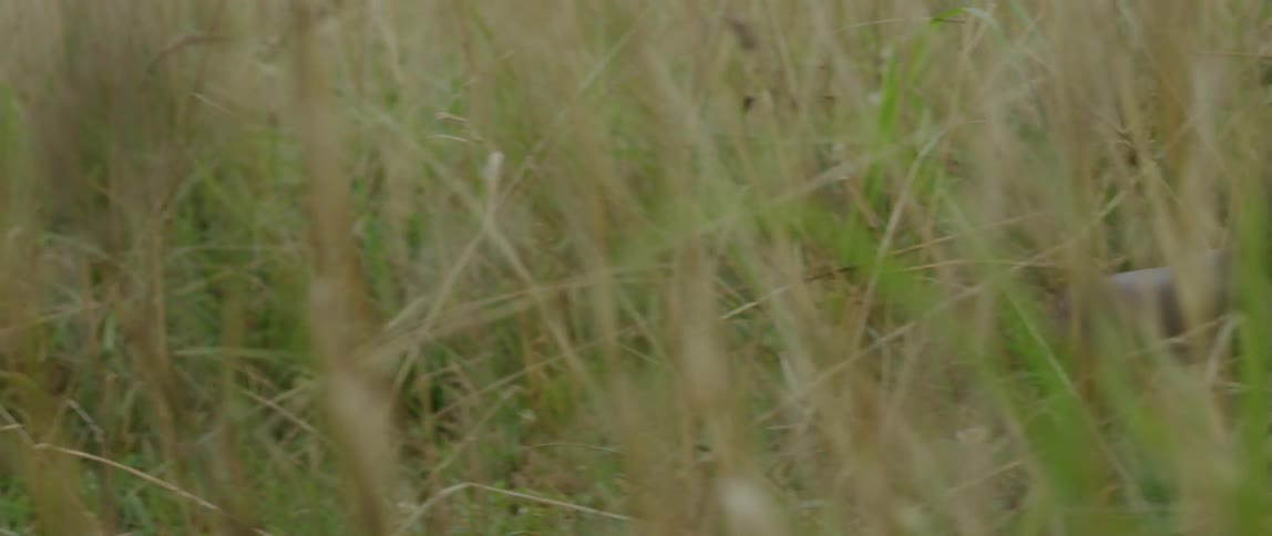 View of persons boots as they walk through a field
