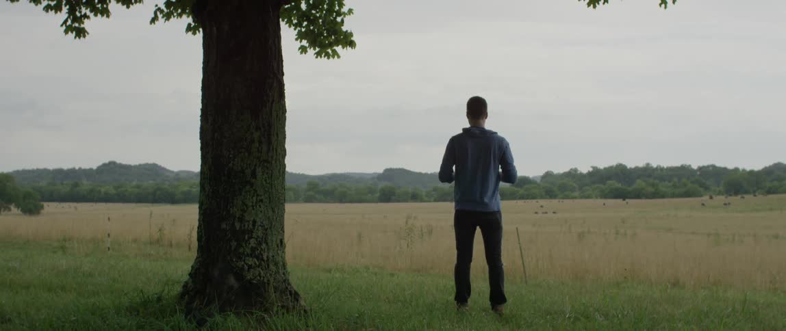A man takes photographs of a field before lowering the camera