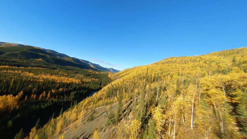 Many trees along the hillside on a clear day with mountains on the horizon