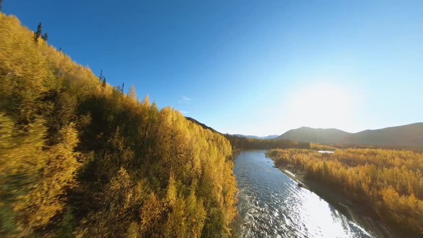 Sunlight shines onto a river through a yellowing forest in the countryside on a clear day
