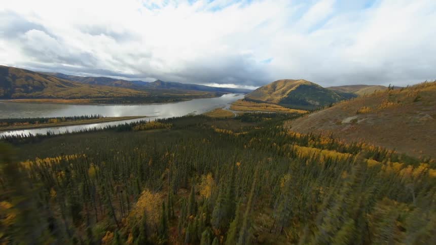 Aerial view of a river through the pine forests in the mountain at day time
