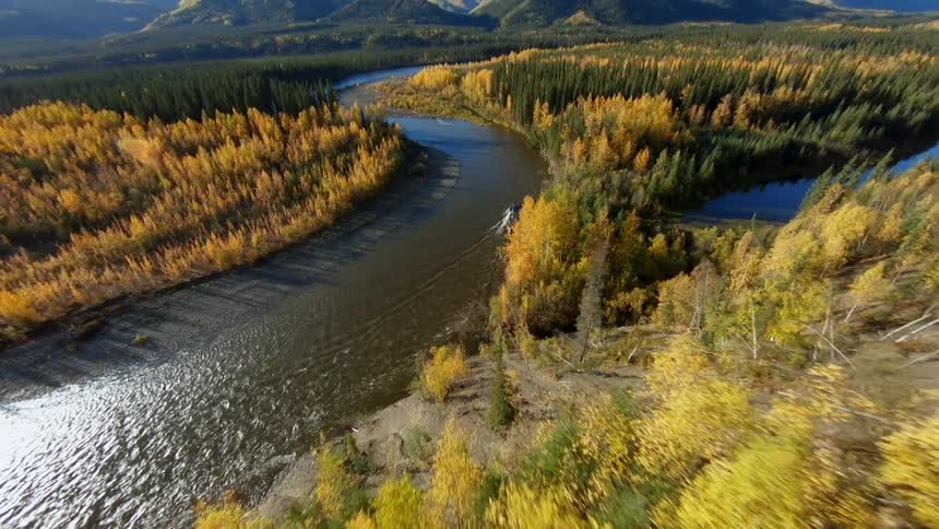 Aerial view of a boat on a river in the pine forest on the mountains