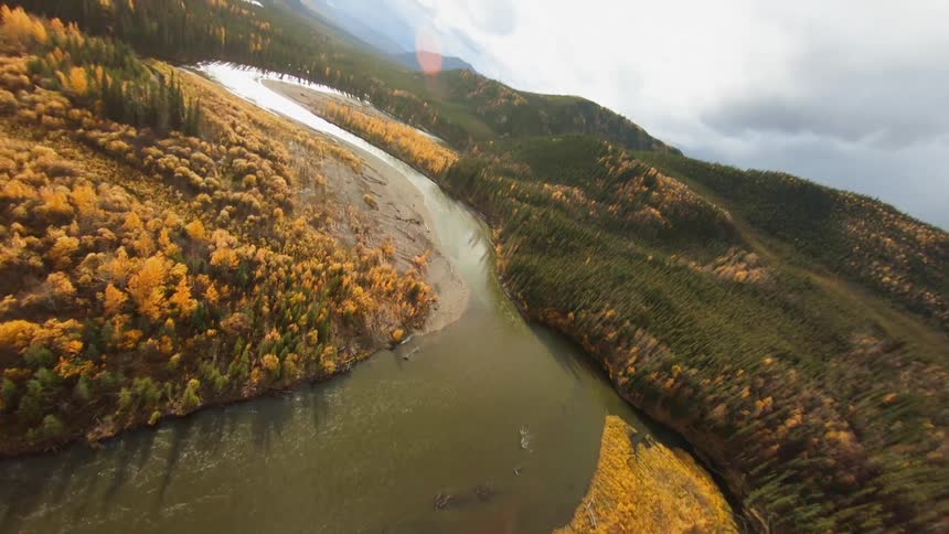 An aerial view of a river lined with trees