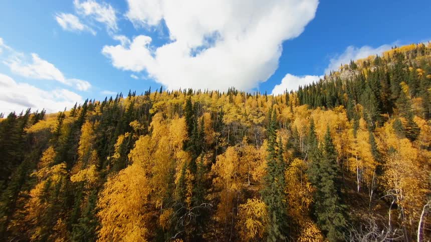 Highland filled with conifer trees and trees in fall colors on a cloudy day