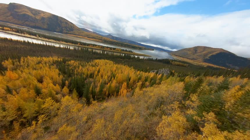 A vast forest covering a mountainous countryside on a sunny day