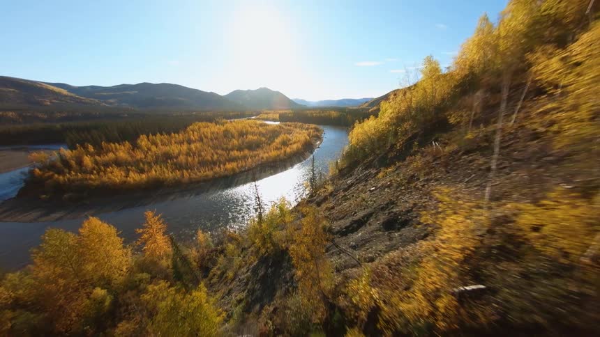 A slope descending downwards towards a river in a forest with autumn trees at daytime