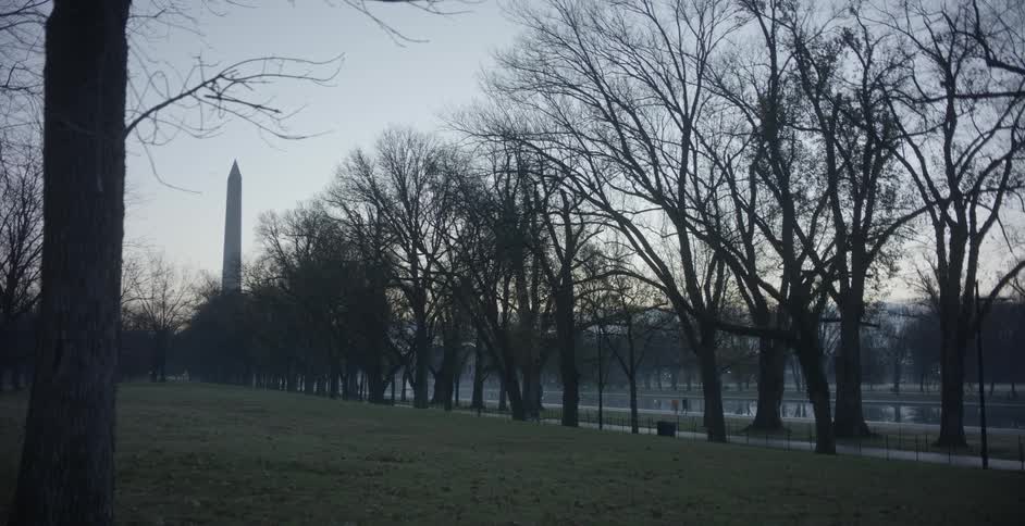 Washington monument in the horizon behind the trees at evening