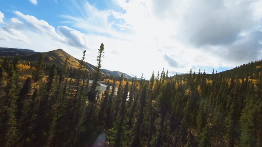 Forest with many trees and some fall colors with river and mountains on a cloudy day