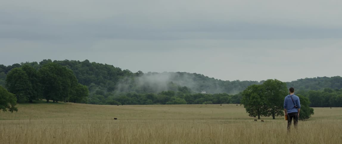 A cloud hangs low over a field where cows are grazing