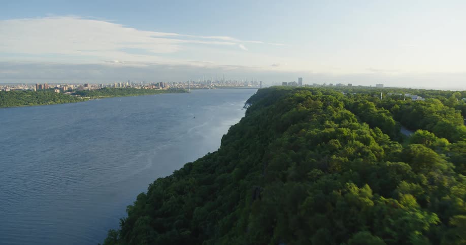 A huge forest next to a river with a city in the distance