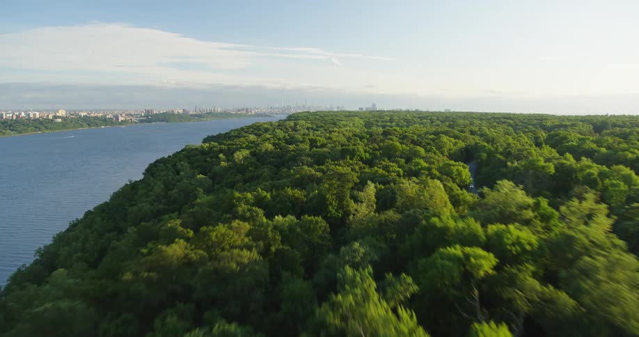 A dense forest across the river from a metropolis on a sunny day