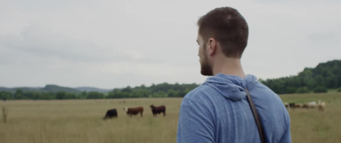 Man walking out in a field with cows in the distance