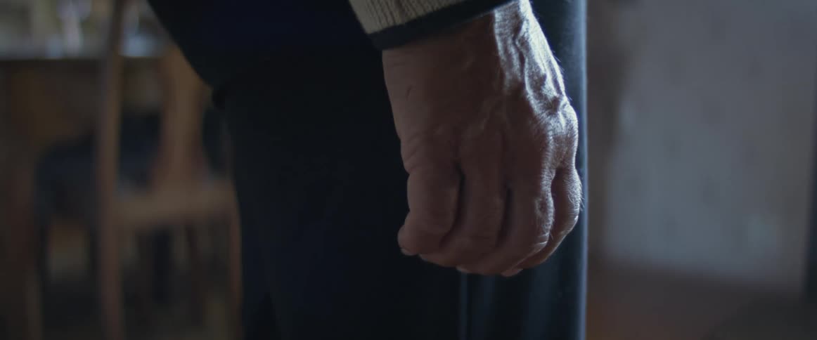 Close up of an elderly womans hand standing in dining room