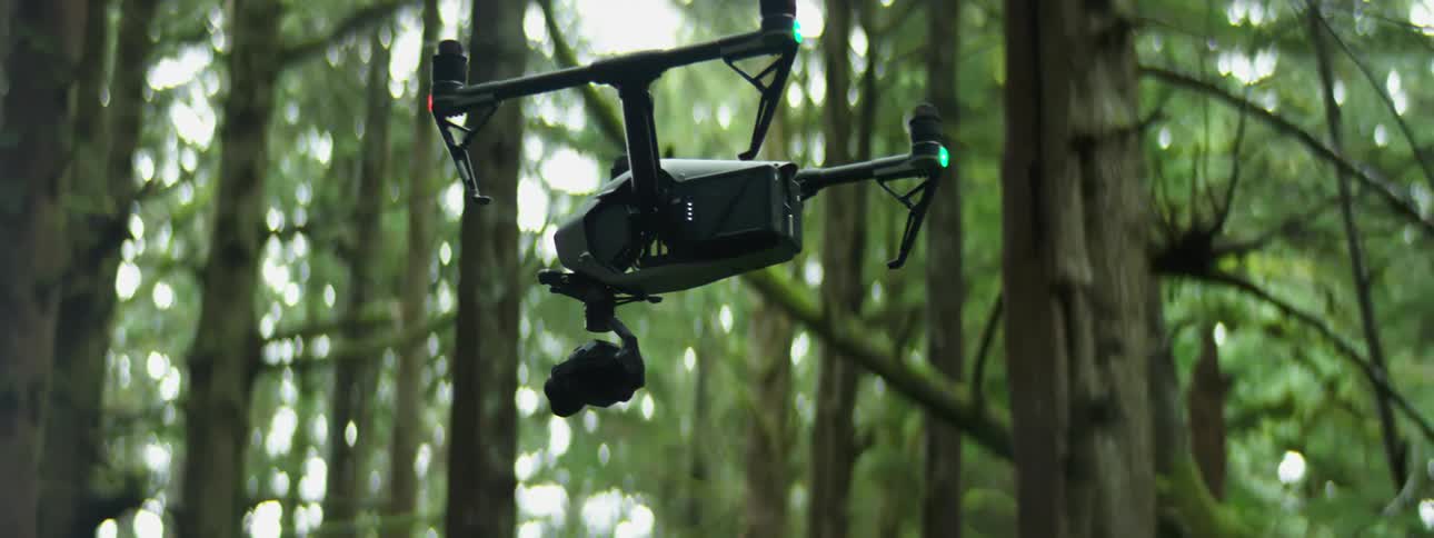 Drone is hovering in forest with several lights on and trees all around