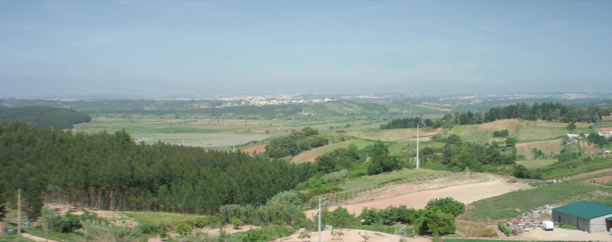 Landscape of forest area