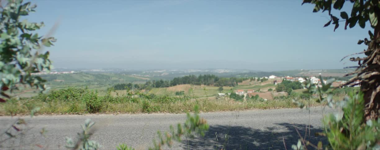 Panoramic view of the green fields and hills near a rural road