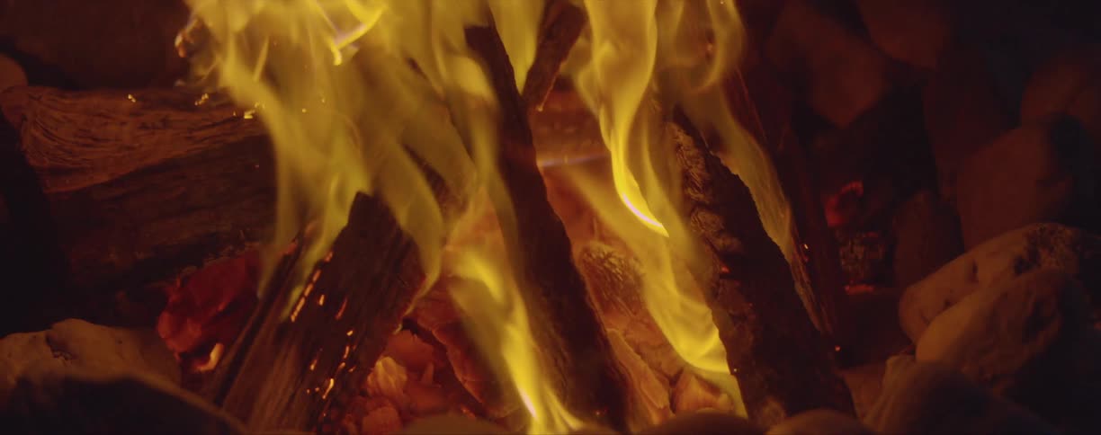 Wood sticks on fire and embers