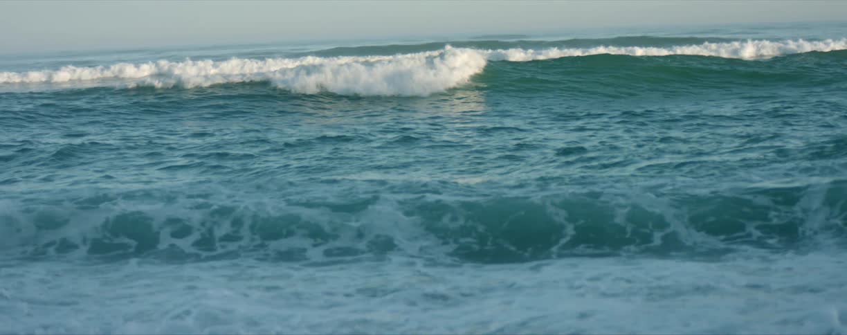 Ocean waves splash and roll in as a seagull flies across the sky