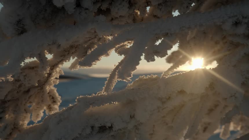 Sun can be seen rising through snow and ice crusted branches