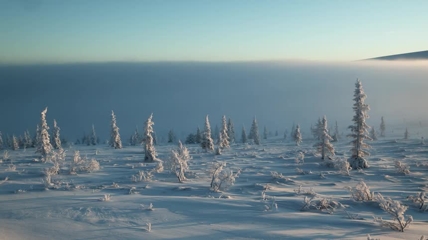 A landscape with trees snow and ice with the sky and clouds in the background