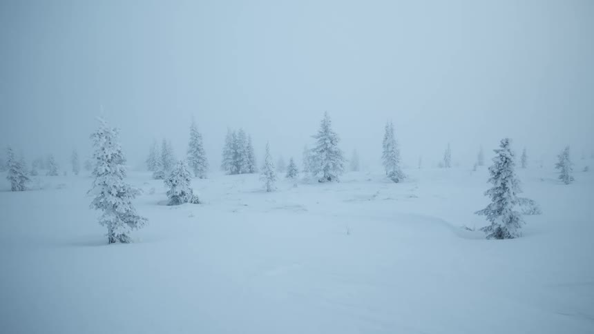 Wide shot of a snowy field