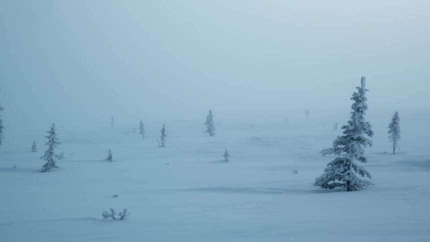 A landscape with trees snow and ice