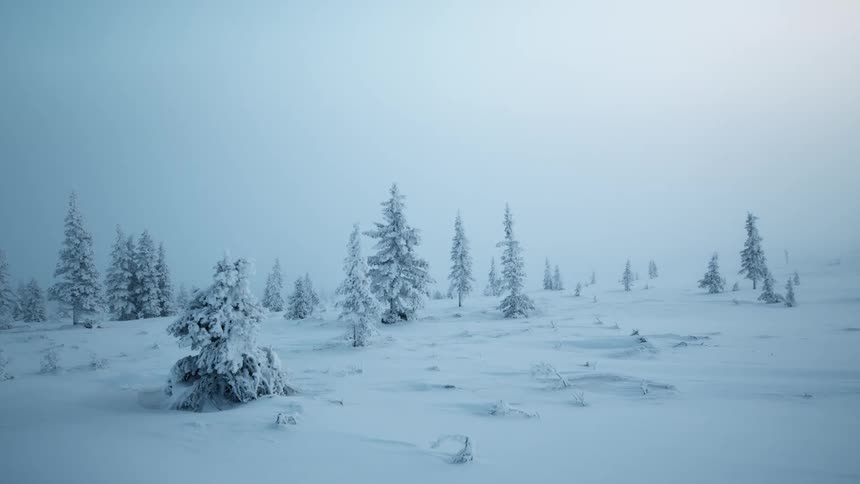 A wide shot of a snowy field