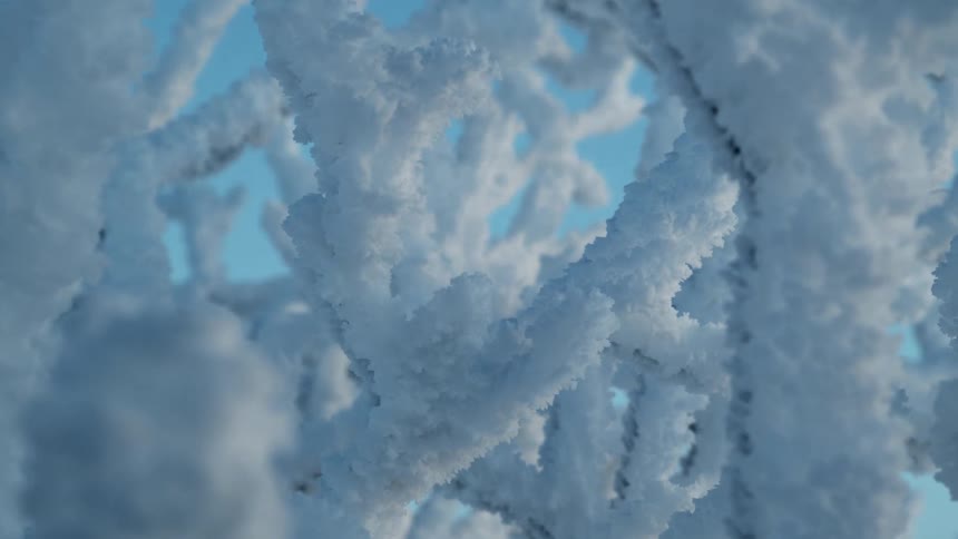 A bunch of branches covered in frost