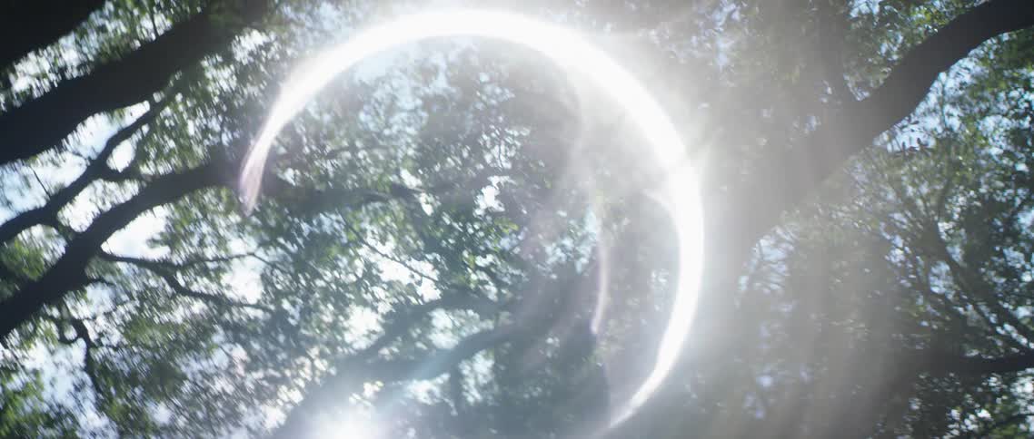 A flare of light in trees in a forest