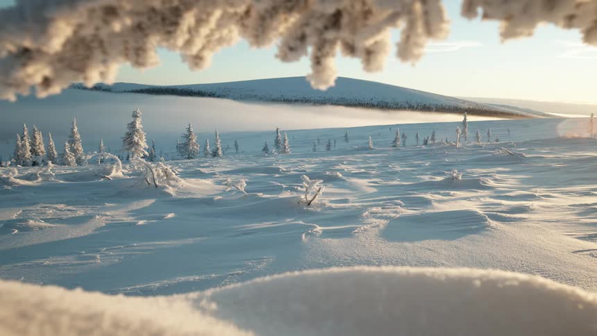 Hills with ground and trees covered in snow on a sunny day