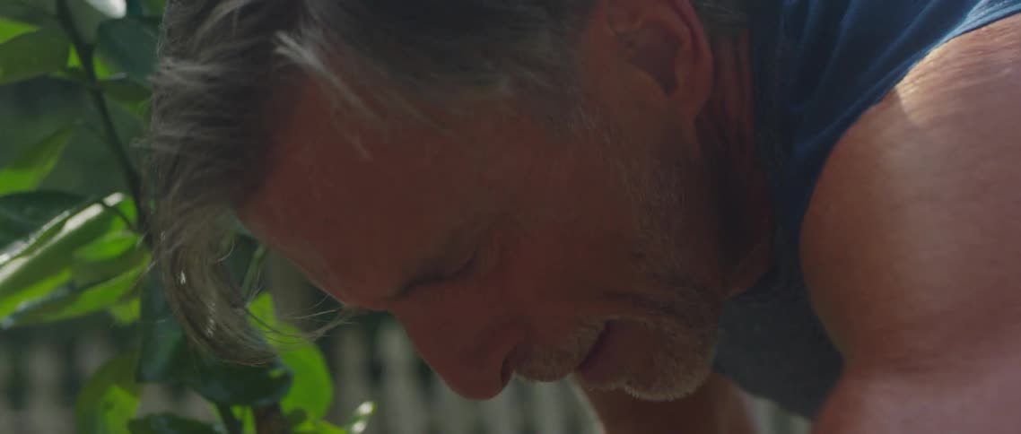 A man uses his hands to plant a tree on the garden in the backyard