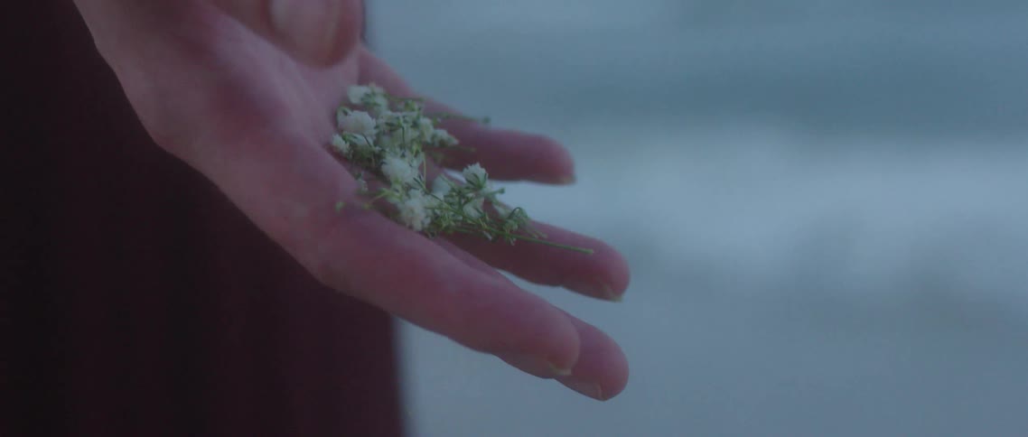 A hand holding and dropping plants on a beach