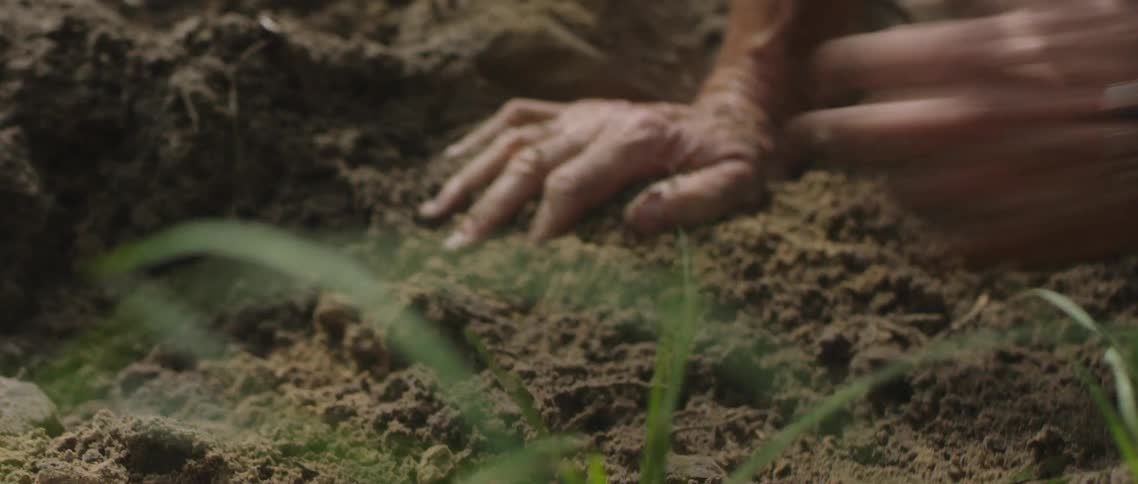 A man planting a tree uses his hands move the dirt at day time