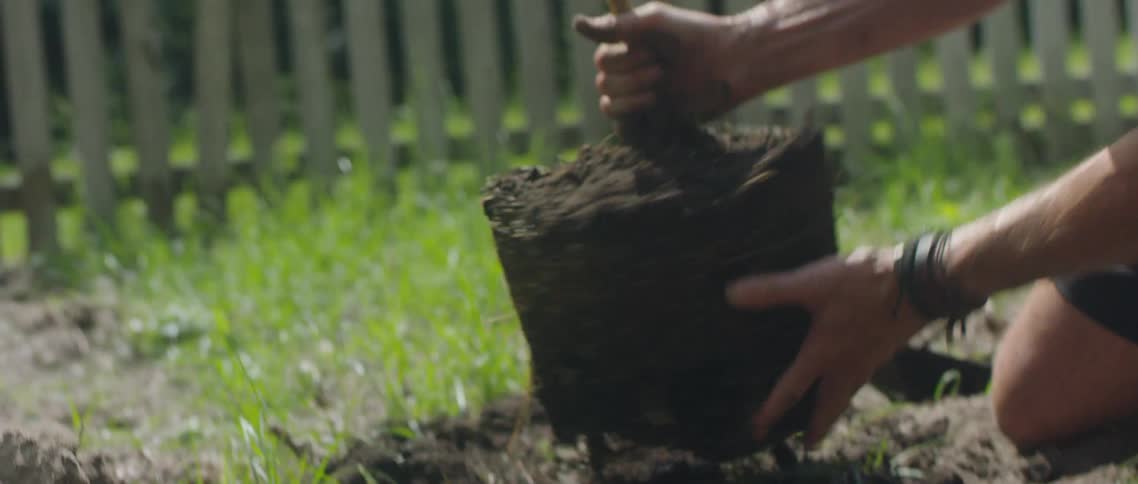 A man plants a tree in his back yard