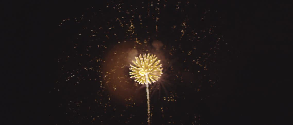 Fireworks light up a night sky