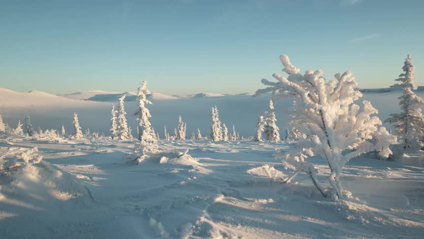 A snow covered landscape on a cold winter morning