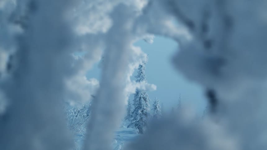 Trees covered in snow and ice with the sky and clouds in the background