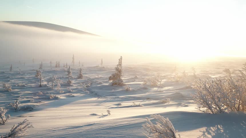 A panning shot of a snowy field