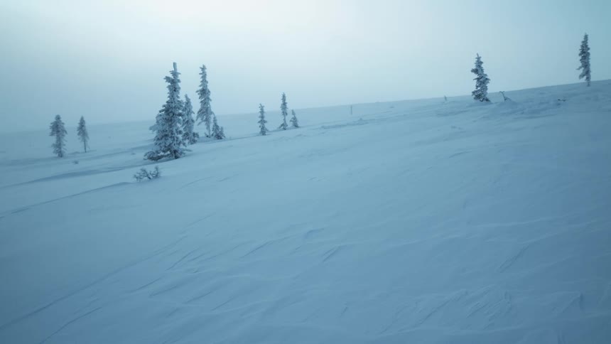 A hillside and trees are covered with snow