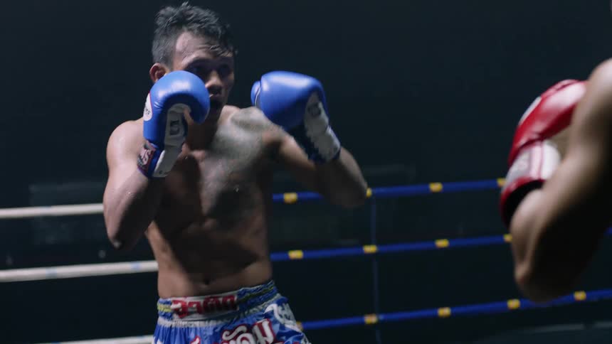 A pair of fighters in a boxing ring greet each other by tapping their gloves together before beginning their fight