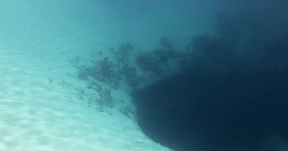Moss and sand on the bottom of an ocean floor