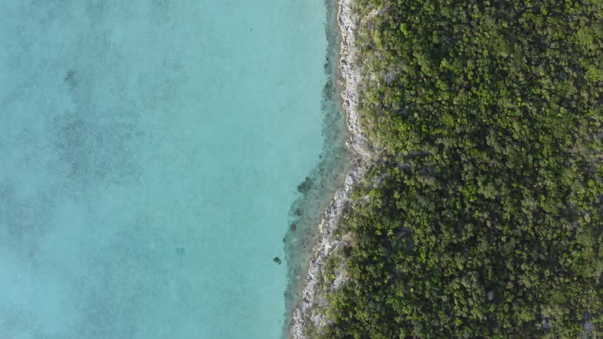 Aerial view of a shore on an island with lush green vegetation at daytime