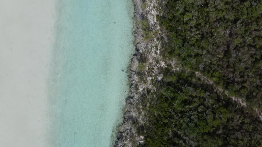 Aerial top down view of the coastline of a tropical beach