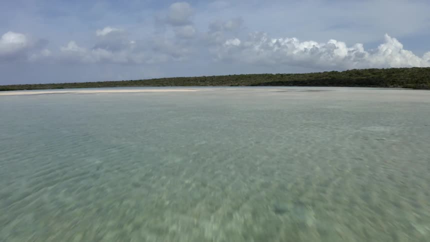 Sand bars and shallow waters off the coast of a landmass covered in vegetation