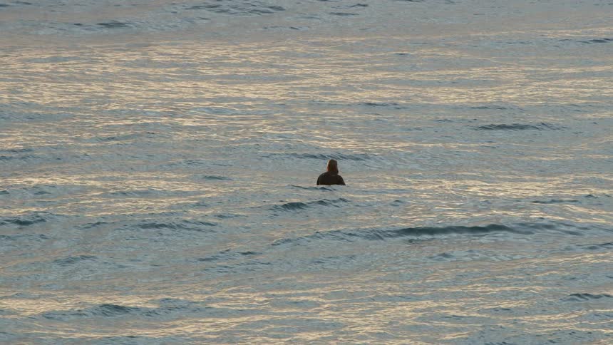 Person stand waist deep in the ocean with low pink sun reflecting on the waves