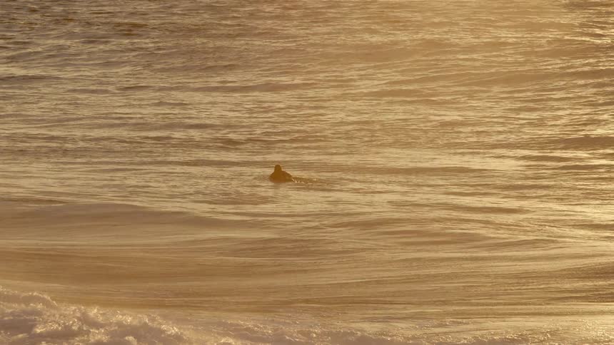 A lone surfer paddles out past the waves as the sunset illuminates the ocean surface