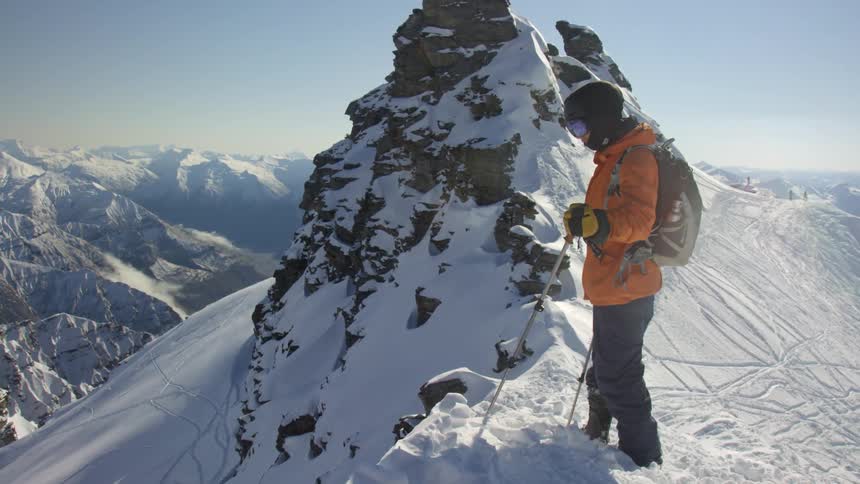 A person is skiing in an arctic area