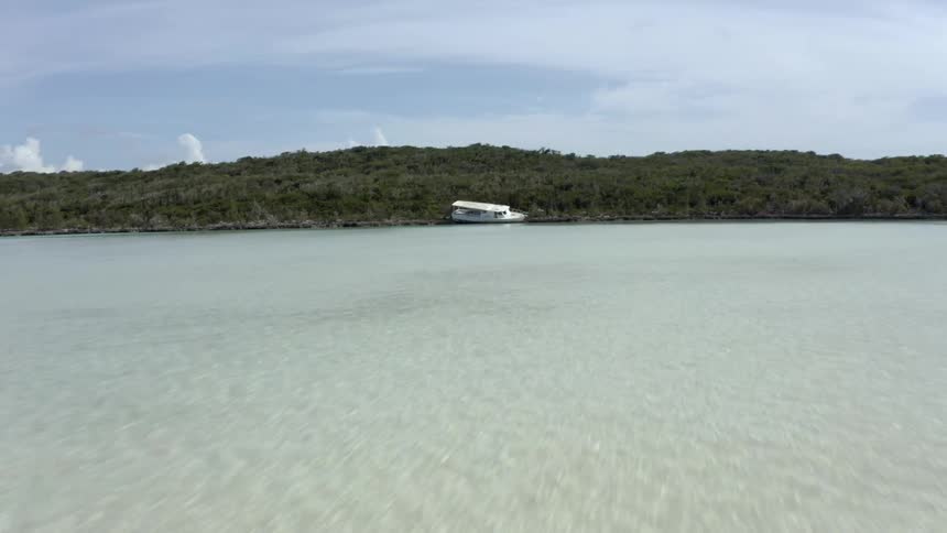 A boat on the shore