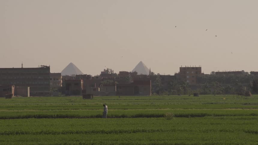A man kicks at vegetation as he walks through a field on the outskirts of a city during the day