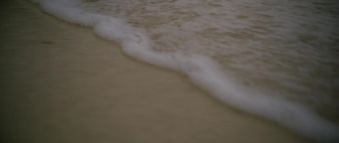 Waves roll in on coastal beach